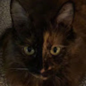 Meet your Posher, Catherine